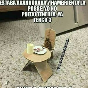 Meet your Posher, García